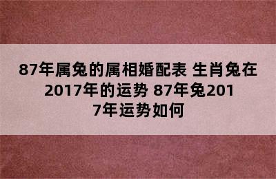 87年属兔的属相婚配表 生肖兔在2017年的运势 87年兔2017年运势如何